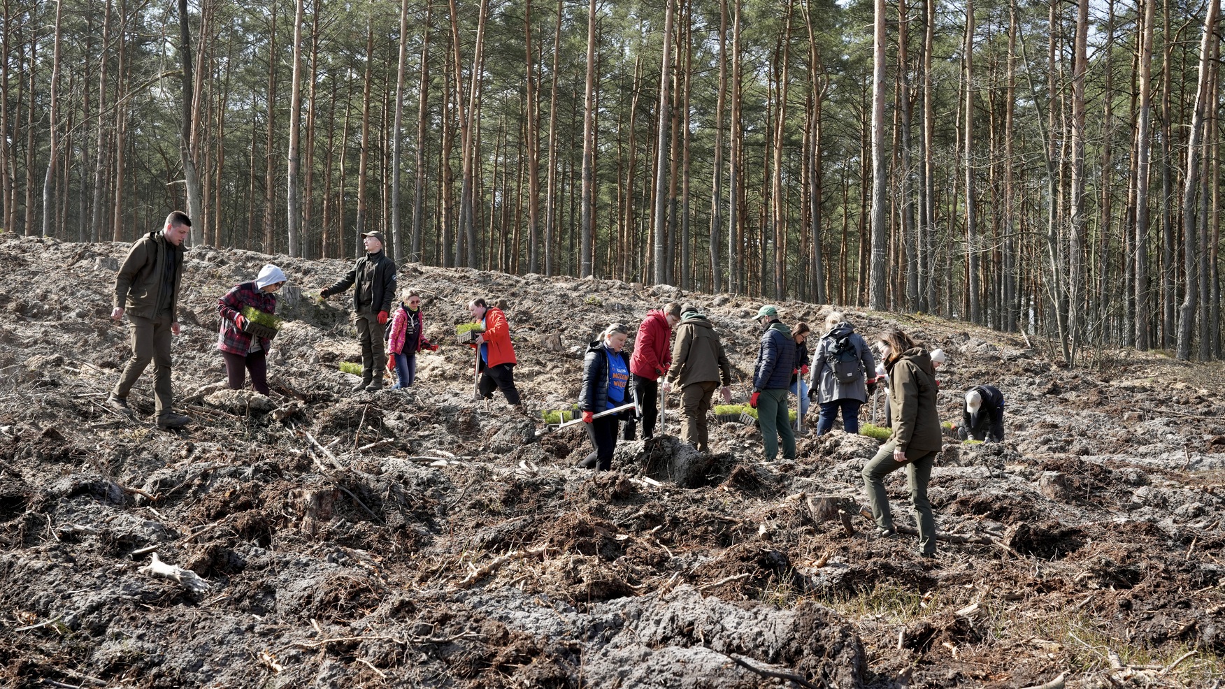 Sadzenie lasu – Drewnica 2026